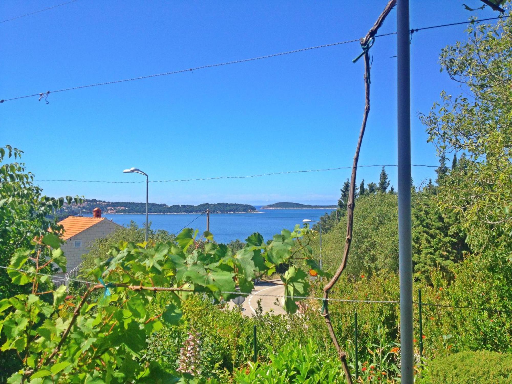 Apartments Dalmatia Blue