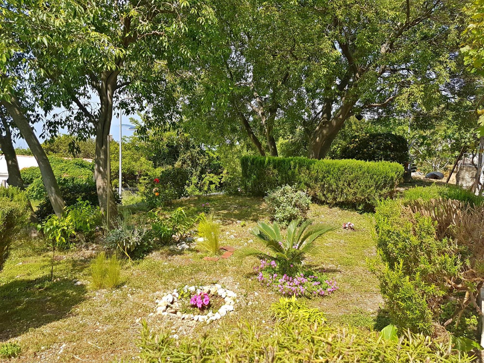 Apartments Dalmatia Blue