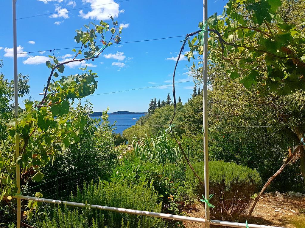 Dalmatia Blue Apartmán