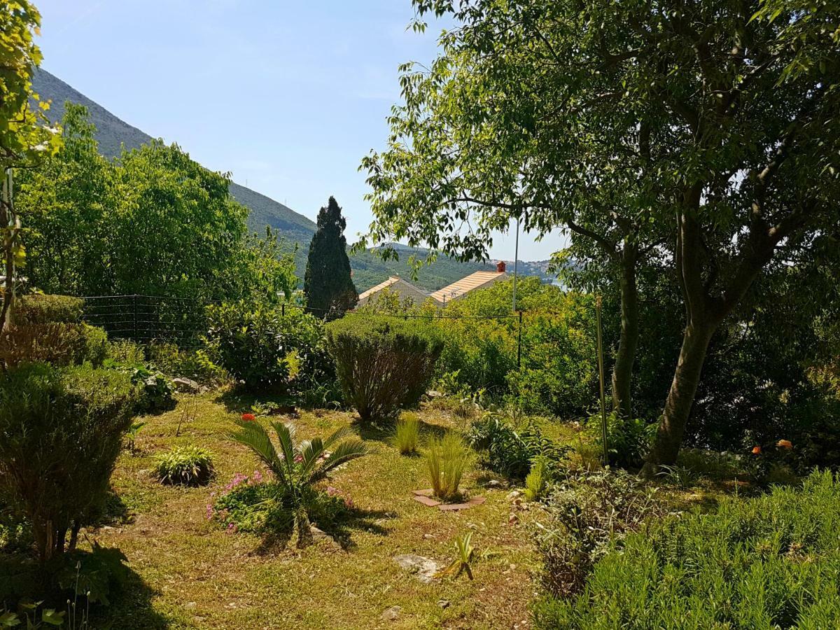 Apartments Dalmatia Blue Mlini